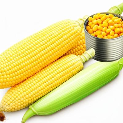 Custom Logo Canned Sweet Corn with Fresh Sweet Corn Raw Material