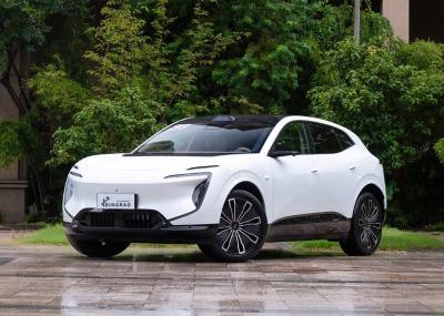 Intelligent Technology New Energy Automatic Battery EV Hybrid Gasoline Petrol Fuel Car