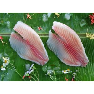 Frozen Tilapia Fillet