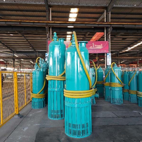 180m³/H 350m Head Explosion Proof Submersible Pumps Mine Drainage Explosion Prevention Water Pump