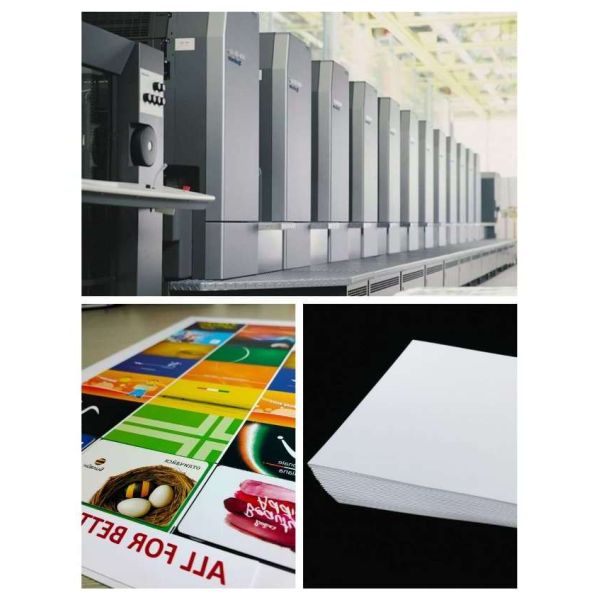 Сделайте сердцевинный слой водостойким Pvc офсетной печати 0.30mm