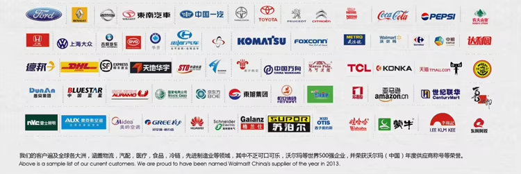 Легкий первоначальный подъемный электрический сборник с зарядным устройством