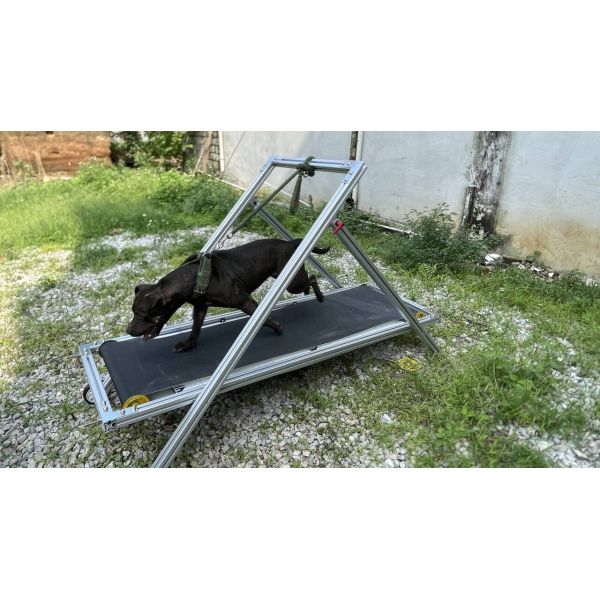 Dog Exercise Slatmill Pets Treadmill Walking Machine for Pit Bull Stocked Carpet Mill