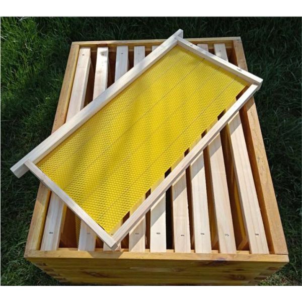 Ранг воск улья учреждения Beeswax обрамляет основание покрывает листы Beeswax гребня пчелы