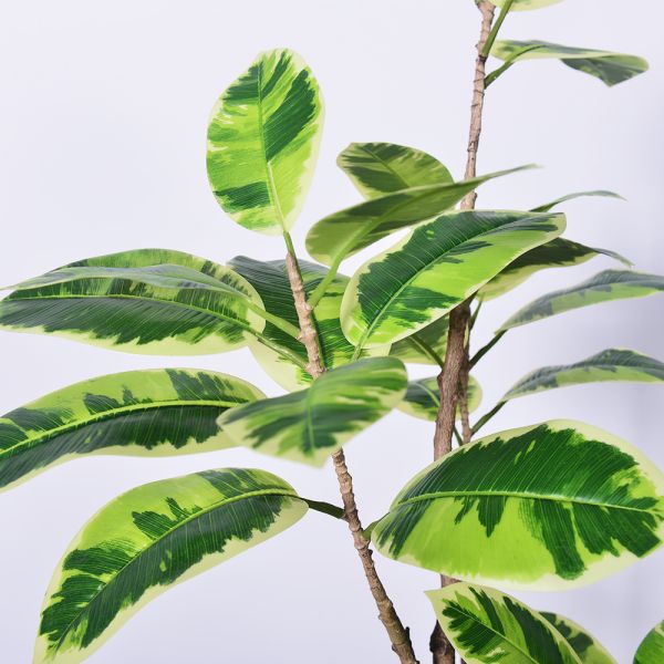 Latest New Arrival Artificial Indoor Plants Potted Plants Green White Faux Rubber Tree for Decoration Office Small Plastic