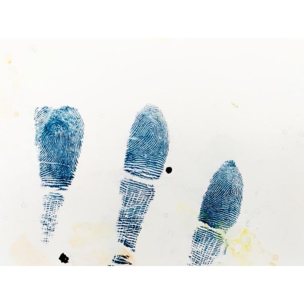 C027 Amido black 10B spray