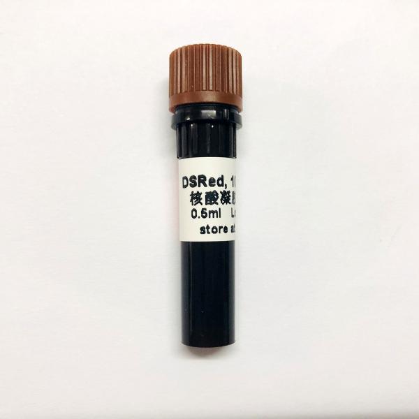 Non Toxic DSRed Nucleic Acid Gel Stain 10000x 0.5ml