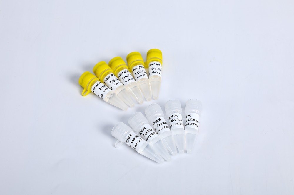 SYBR Зелёный qPCR смешивать высокий ROX+ для ABI ДНК в режиме реального времени PCR 5 мл