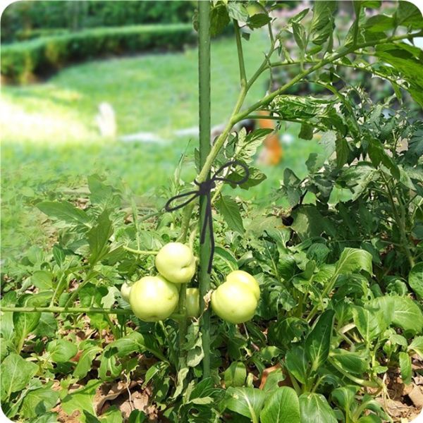 2' 8.8mm Indoor Metal Climbing Garden Plant Support Sticks