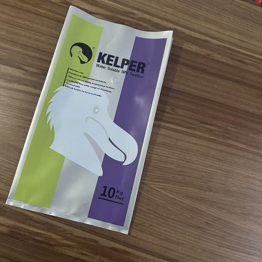 Multiple Sizes High-quality Cost-effective PE Bags with Secure Heat Seal