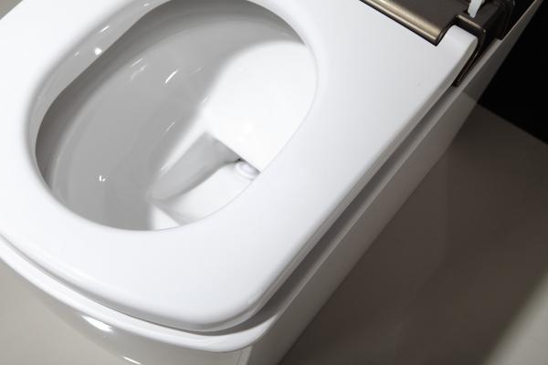 Bathroom Smart Toilet Automatic Washing Function intelligent toilet