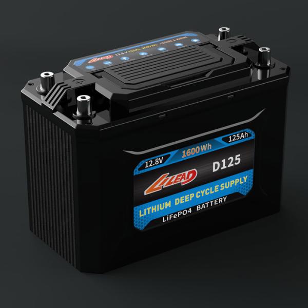 12.8V 125AH 13.5Kg Lithium Iron Phosphate Battery For Solar Motorhome
