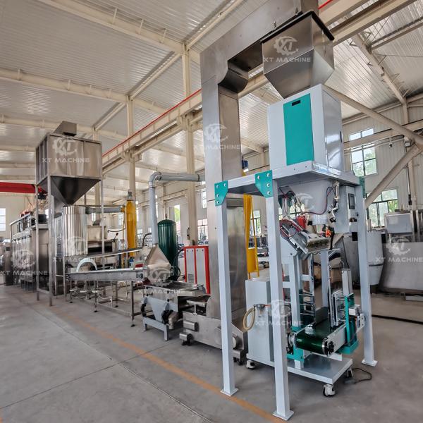 Machine à éplucher les cacahuètes en acier inoxydable, capacité 500-1000 kg/h