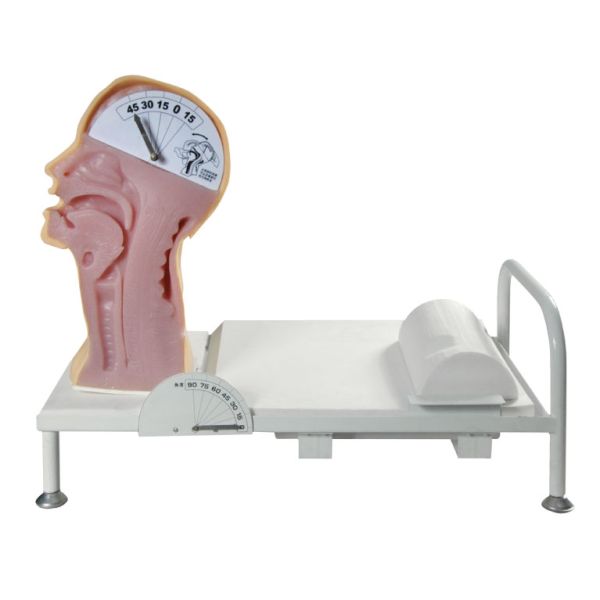 Swallow Mechanism Simulator clinical trial simulation for Learning and Training