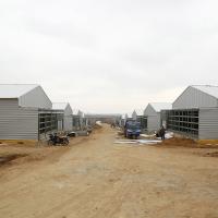 Structures commandées d'aviculture de climat pour le poulet ISO9001
