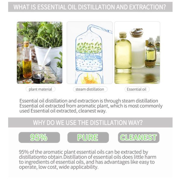 Essential Oil Extraction Equipment Pure Rose Hydrosol Distiller with Steam Distillation