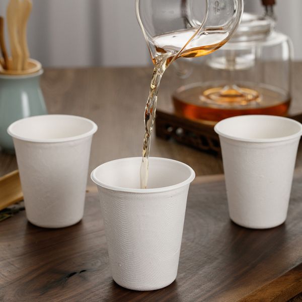 30-Day Return Policy Disposable Eco-Friendly Sugarcane Bagasse Paper Cup with Lid