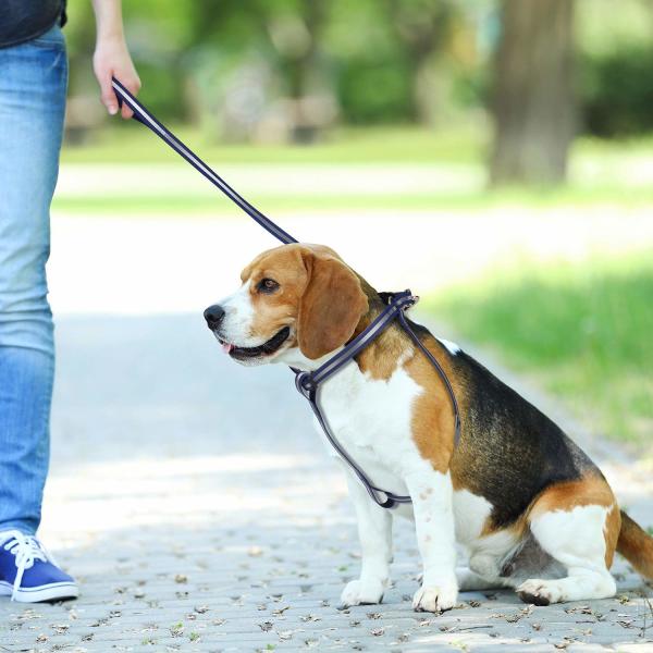 NO Stink Waterproof Dog Collars , Reflective Anti Pull Dog Harness Vest