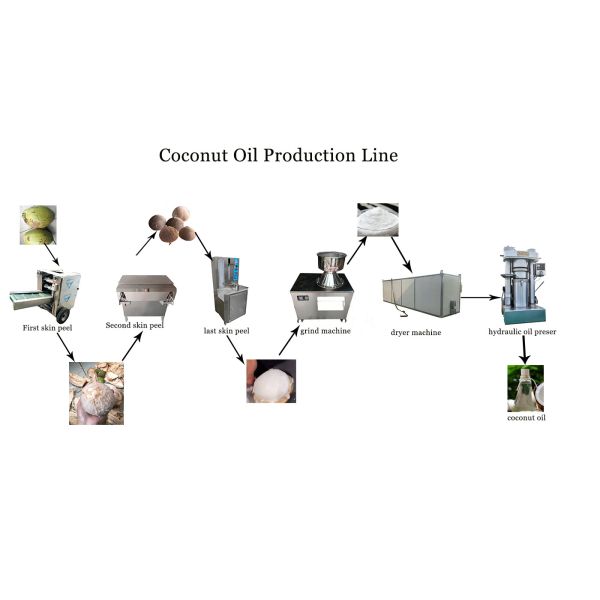 Lewin Hidráulica Hidráulica Máquina de Fabricação de Óleo de Coco Linha de Óleo de Coco