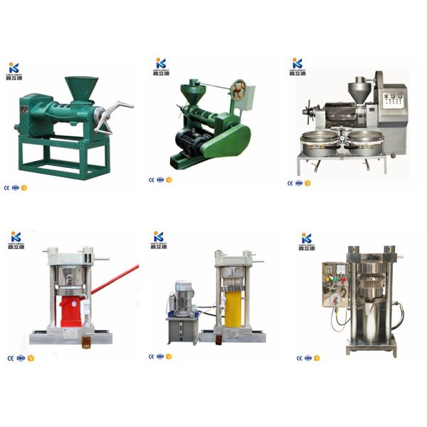 Energy Saving Solution for Small Businesses Mini Seed Oil Extractor Almond Oil Extraction Machine