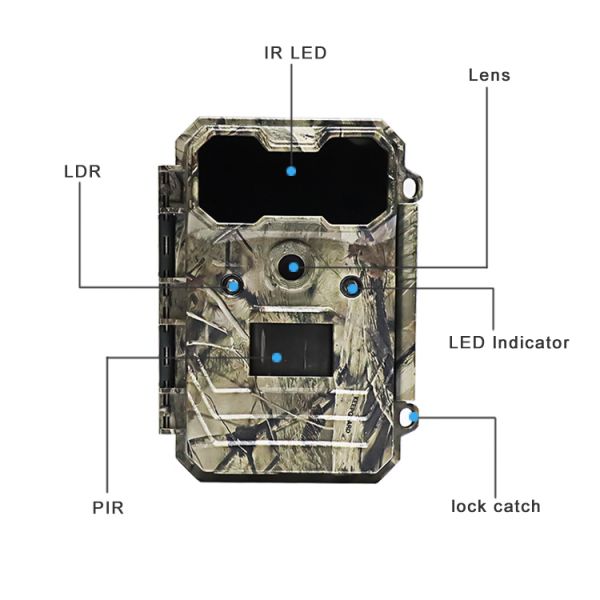 Motion Activated Wildlife Camera