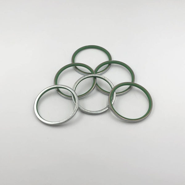 Dustproof Loader Excavator Seal Kit 45x55x4 50x60x4 50x65x4 55x70x4