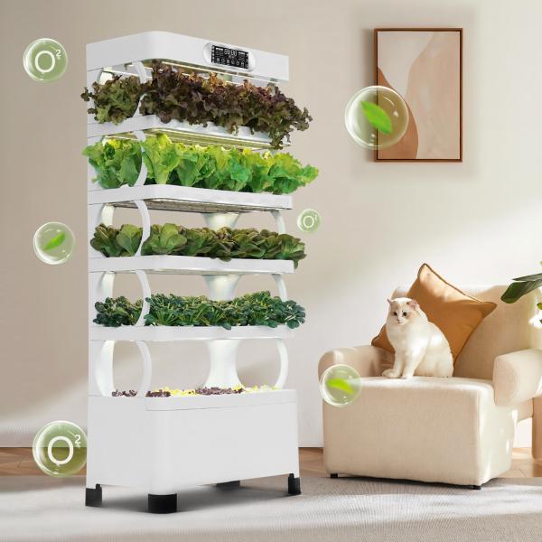Veggiefloe Sistema de cultivo hidropônico de vegetais para escolas - Promover a aprendizagem prática, alimentação saudável