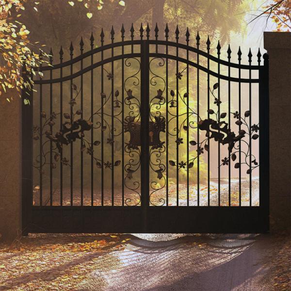 Modern House Grill Design Front Door , Galvanized Wrought Iron Main Gate