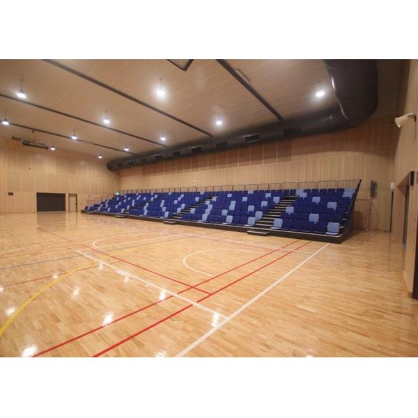 Удобное Ретрактабле сгребенное усаживая решение совмещая руководство/деятельност