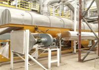 Os grânulo pulverizam o arroz contínuo industrial de vibração do PLC do secador da cama fluida