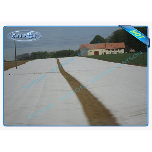 Cubierta no tejida ancha estupenda durable de la agricultura para el establecimiento del ginseng