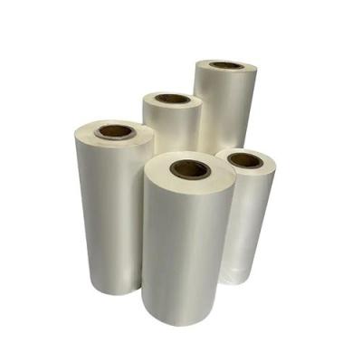 High Reflective Rate Reflective Film Metallized PE Film for Agriculture Using Apple Tree
