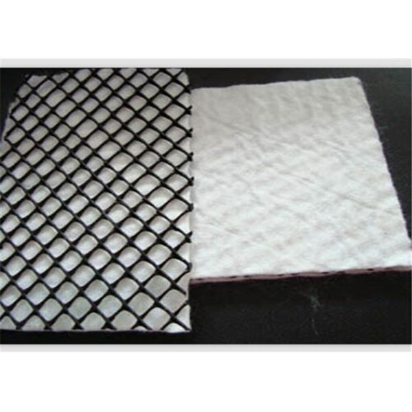 Slope Protection Geocomposite Hdpe Geonet With Two-Dimension In Construction
