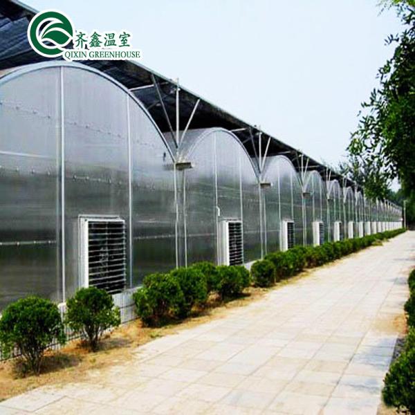 Complete Hydroponic Grow Tent for Indoor Growing of Vegetables Fruits Flowers and Tomatoes