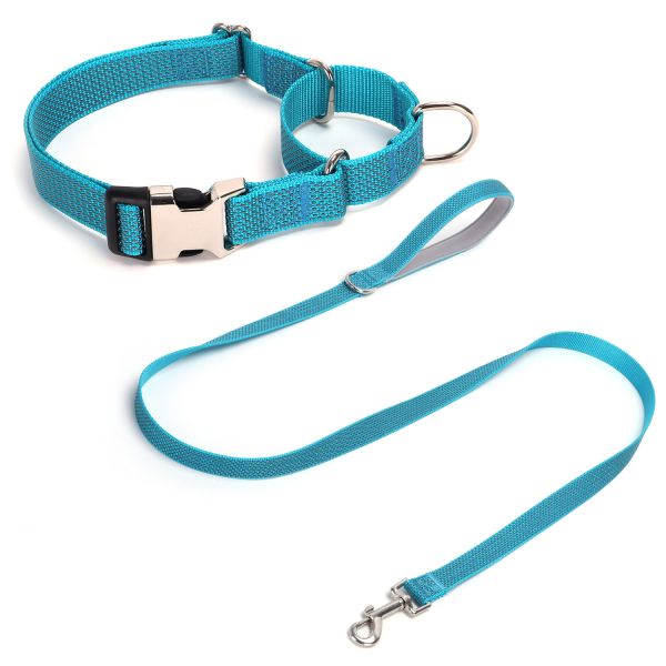 Laisse pour chien en nylon réfléchissante, durable, prise en main confortable, idéale pour la promenade des chiens