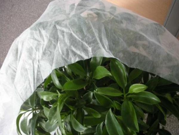 Online Technical Support for Hot-stamping Non-woven Fabric Agricultural Packaging