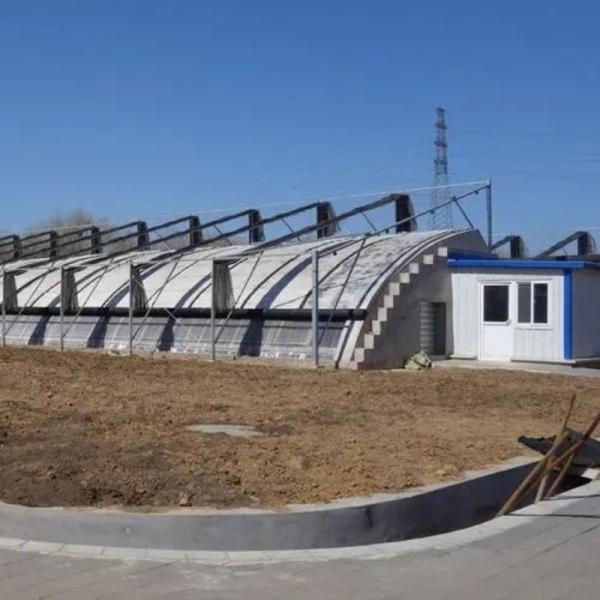 Roofing Shape Arched Roof JX-Arch Green House for Tomato Strawberry Hydroponic Farming