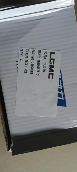 PEÇAS DE MOTOR DE LGMC 13020684 TERMOSTATO PARA O CARRO E O MINI-CARRO