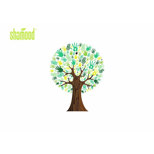 Green Tea Fragrance Paper Air Freshener Natural for Hanging in Car