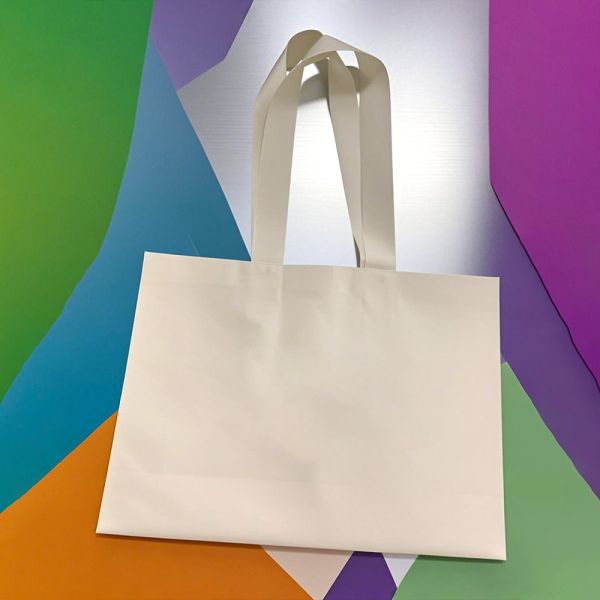 Biodegradable Food Packaging Bags Industrial Shoes Clothing Custom Personalized Shopping Bags Boutique Packaging