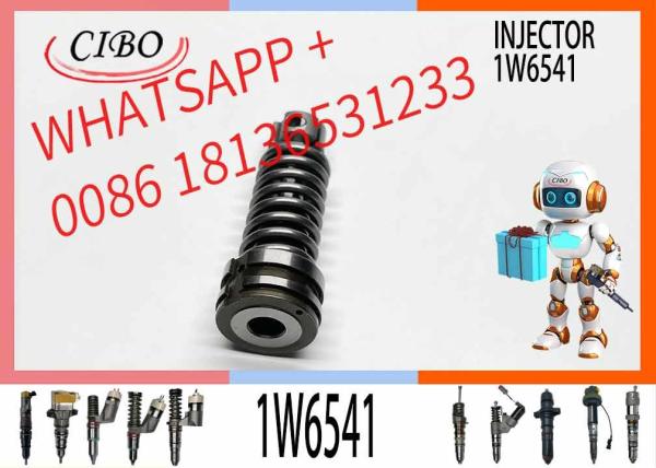 Ftb 4P-9830 Diesel Fuel Engine Part Plunger Common Rail Plunger 1W-6541 Diesel Injector Pump Plunger 1W6541 4P9830