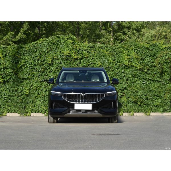 Hybrid 2022 2023 HPEV Plug-in Dongfeng Voyah Free 4WD 1.5T Extended EVR Steering Left