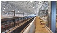 Système de cage de poulet de poulet pour l'élevage de volailles aux Philippines
