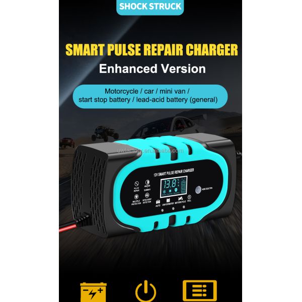 Compact Design 12V 10A 20A 15A 30A Smart Nine-Stage Lead-Acid Battery Charger with ABS Connector
