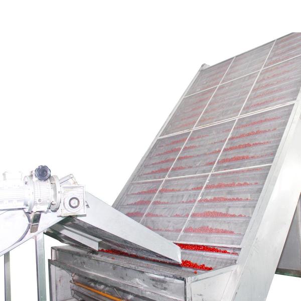 ISO SGS Mesh Belt Dryer Machine PLC Control For Irregular Lumps Red Dates