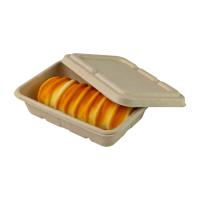 Papier à emporter de canne à sucre de repas de conteneurs compostables recyclables non blanchis de préparation
