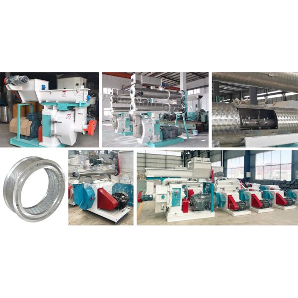 Versatile Pelletizing Solutions Ring Die Pellet Machine For Fertilizer & Biomass