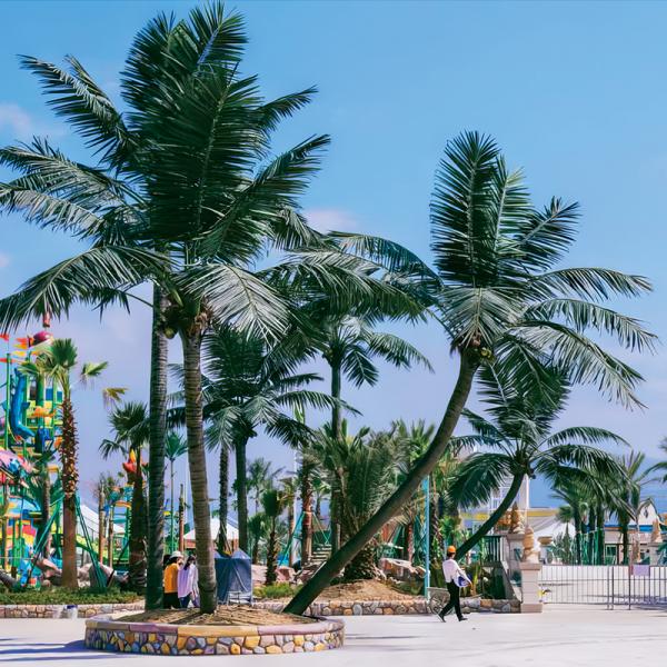 Haihong Artificial Palm Trees UV Resistant Large Fake Tropical Date Palm Tree Coconut Palm for Airport Outdoor Decoration