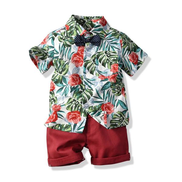 Short Sleeved Children's Outfit Sets Summer Shorts Cotton Kids Clothing