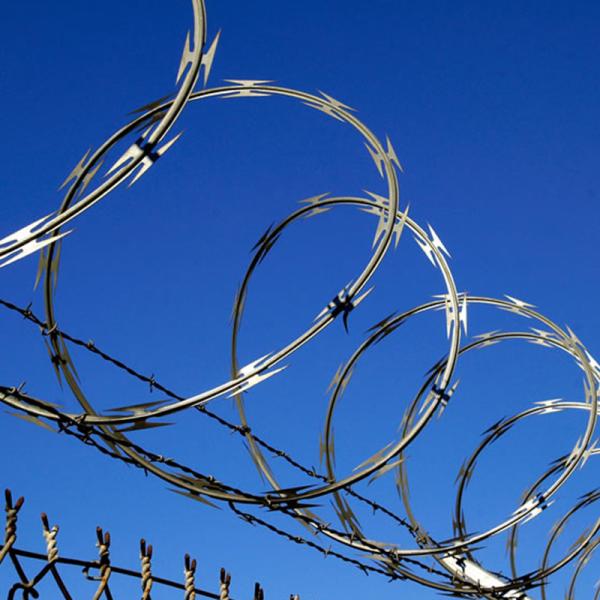 Sell Well New Type  Gill Net Galvanized Stinging Cage Anti Climb The Barbed-Wire Fence Stainless Steel Iron Gill Net